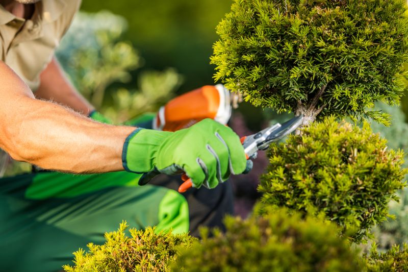 bush trimming service