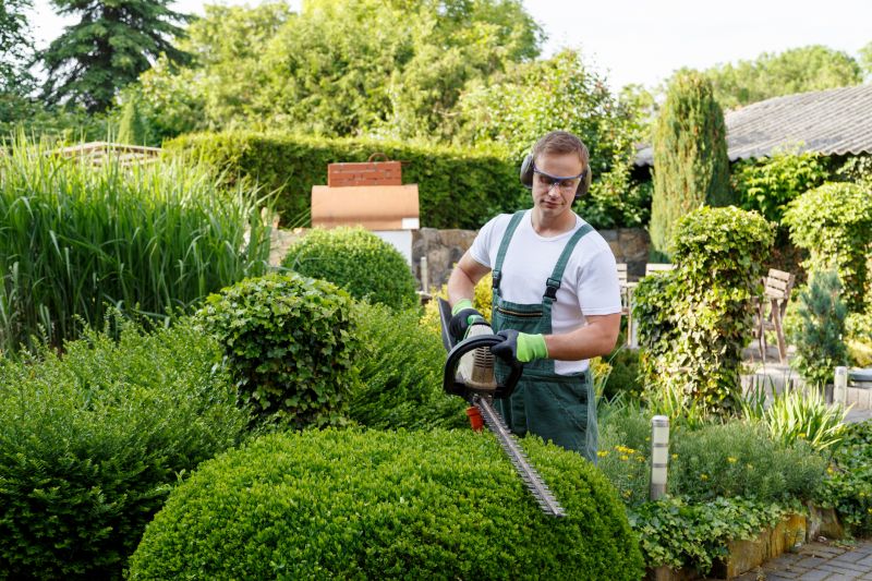 bush trimming service